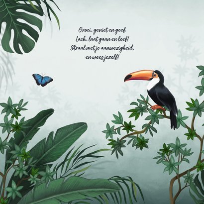 Geboortekaartje jungle toekan vlinder dieren groen 2