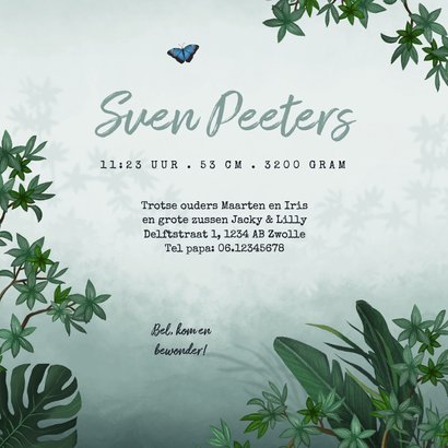 Geboortekaartje jungle toekan vlinder dieren groen 3