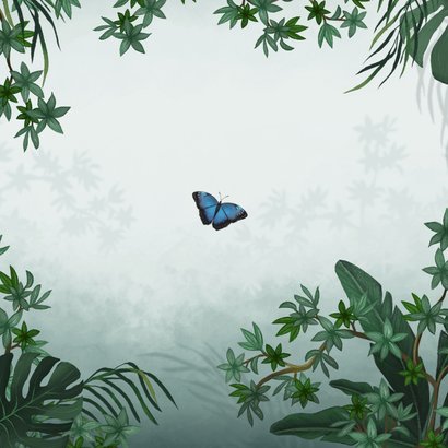 Geboortekaartje jungle toekan vlinder dieren groen Achterkant