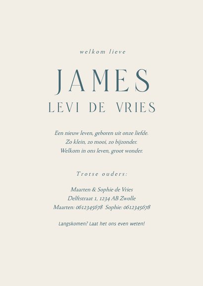 Geboortekaartje klassiek bloemenkrans in blauw 3