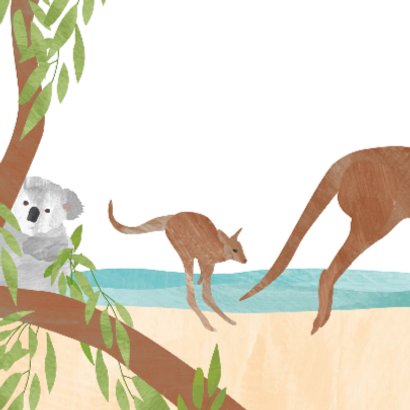 Geboortekaartje koala kangoeroe 2
