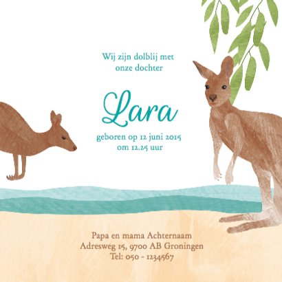 Geboortekaartje koala kangoeroe 3