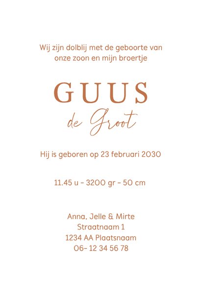 Geboortekaartje koperfolie zus kust broertje of zusje 3