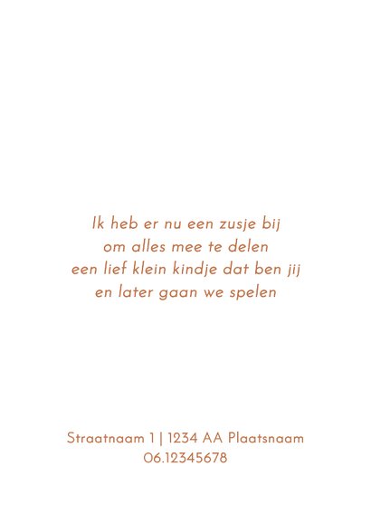 Geboortekaartje koperfolie zus met baby 2