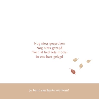 Geboortekaartje kruiwagen met zusjes in kraftkleur 2