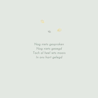 Geboortekaartje kruiwagen zusje 2