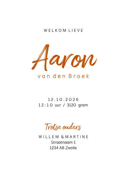 Geboortekaartje letter minimalistisch met vosje 3