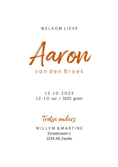 Geboortekaartje letter minimalistisch met vosje 3