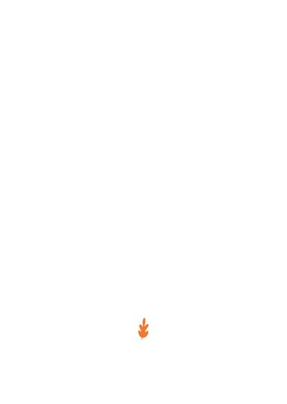 Geboortekaartje letter minimalistisch met vosje Achterkant