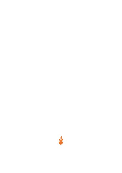 Geboortekaartje letter minimalistisch met vosje Achterkant