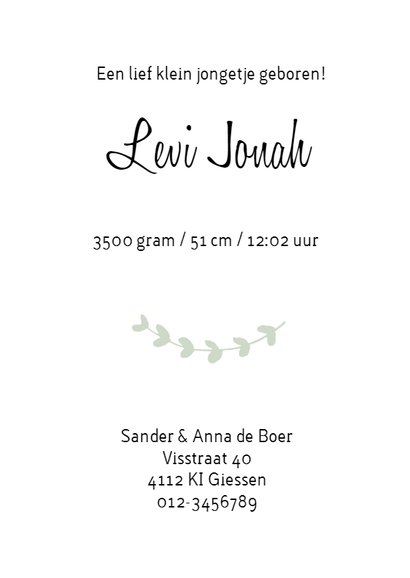 Geboortekaartje Levi - HM 3