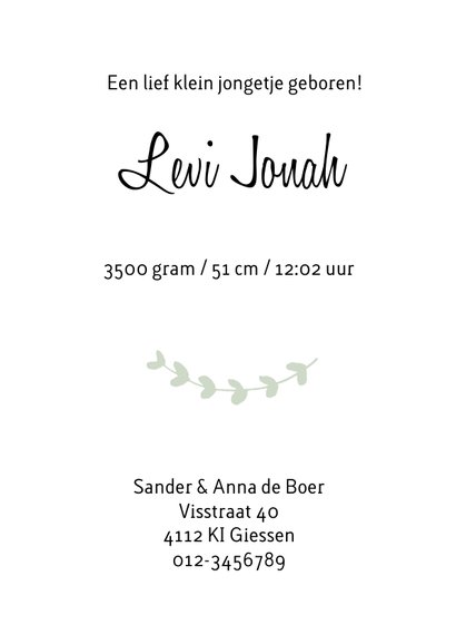 Geboortekaartje Levi - HM 3