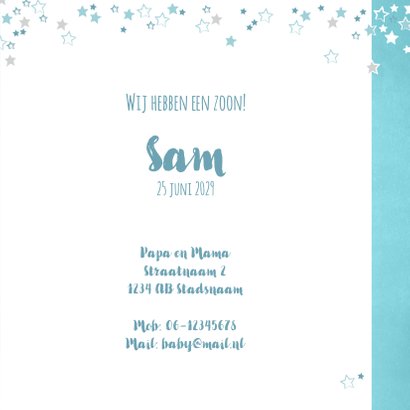 Geboortekaartje lief blauw kaartje met een pinguïn 3
