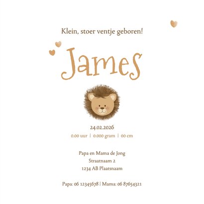 Geboortekaartje lief leeuwtje in zachte beige tinten 3