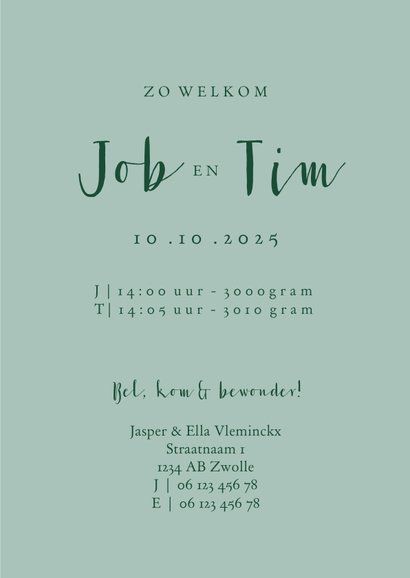 Geboortekaartje lief met groenblauwe fietsjes tweeling 3