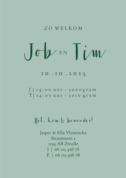 Geboortekaartje lief met groenblauwe fietsjes tweeling 3
