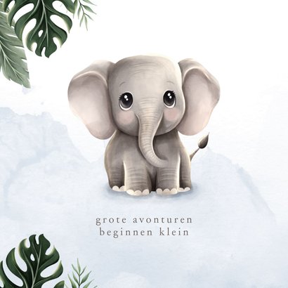 Geboortekaartje lief olifantje blauw jungle thema 2