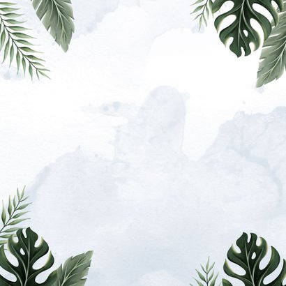 Geboortekaartje lief olifantje blauw jungle thema Achterkant