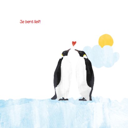 Geboortekaartje lieve pinguin 2