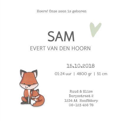 Geboortekaartje lieve vosjes 3