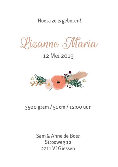 Geboortekaartje Lize - HM 3