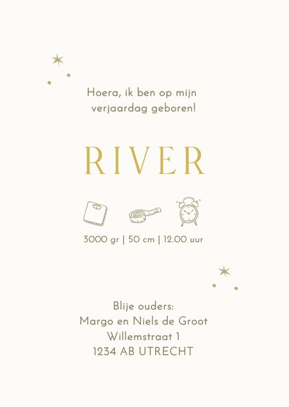 Geboortekaartje luchtballon met wolken en olifant en giraf 3