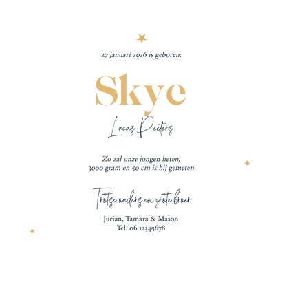 Geboortekaartje luchtballonnen vintage stoer sterren goud 3