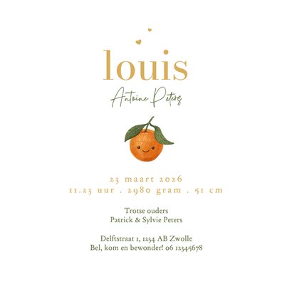 Geboortekaartje mandarijn schattig zomer hartjes goud 3