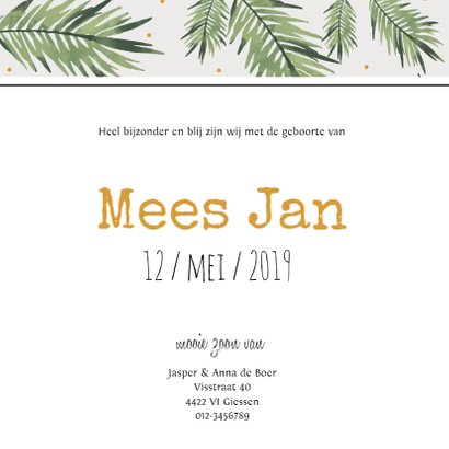 Geboortekaartje Mees - HM 3