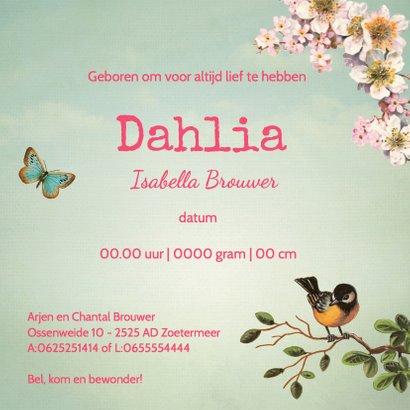 Geboortekaartje meisje bloemen vlinders 3