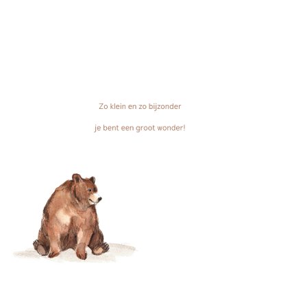 Geboortekaartje meisje bruine beren hartjes 2