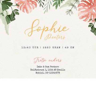 Geboortekaartje meisje dino triceratops meisje hartjes 3