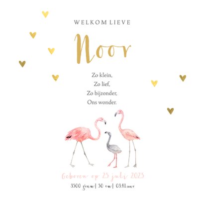 Geboortekaartje meisje flamingo gouden hartjes 3