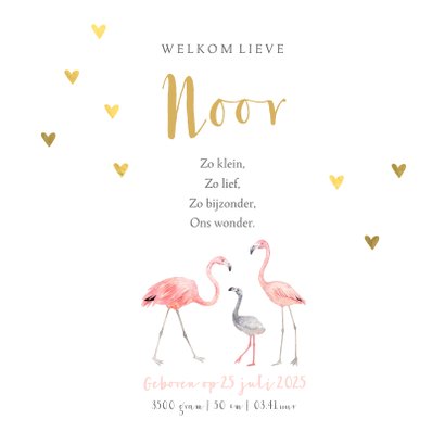 Geboortekaartje meisje flamingo gouden hartjes 3