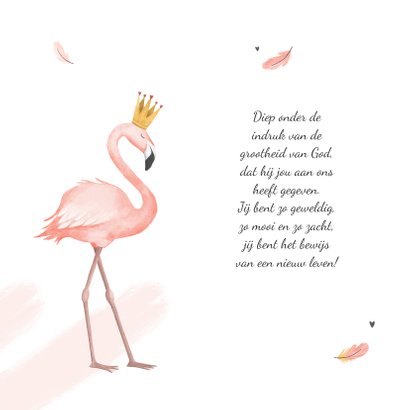 Geboortekaartje meisje flamingo veertjes verf kroontje 2