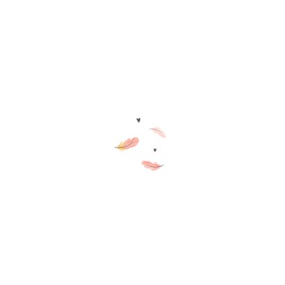 Geboortekaartje meisje flamingo veertjes verf kroontje Achterkant