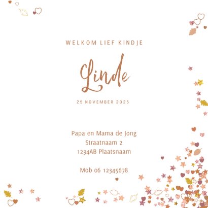 Geboortekaartje meisje hartjes sterren en bladeren herfst 3