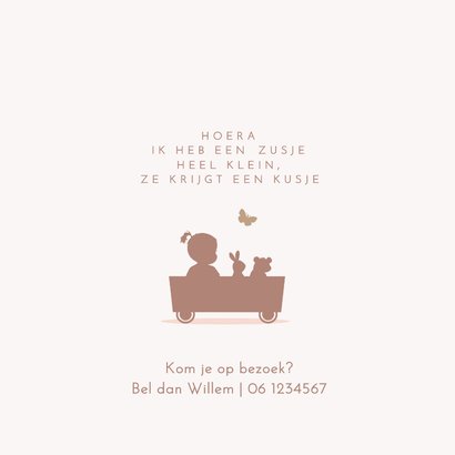 Geboortekaartje meisje in kar met broertje 2