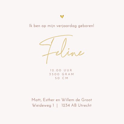 Geboortekaartje meisje in kar met broertje 3