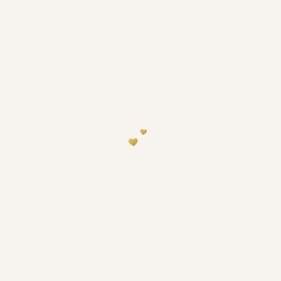 Geboortekaartje meisje lente wilde bloemen vlinders hartjes Achterkant