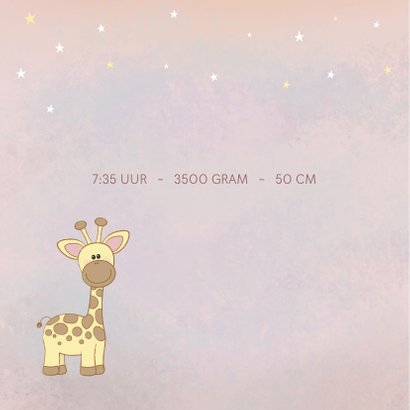 Geboortekaartje meisje met een lief girafje 2