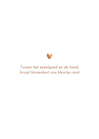 Geboortekaartje meisje met hond koper 2