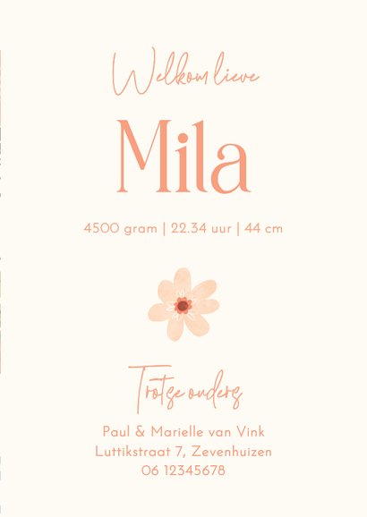 Geboortekaartje meisje met vrolijke bloemen 3
