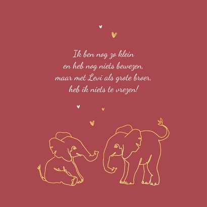 Geboortekaartje meisje olifant dieren zusje broertje goud 2
