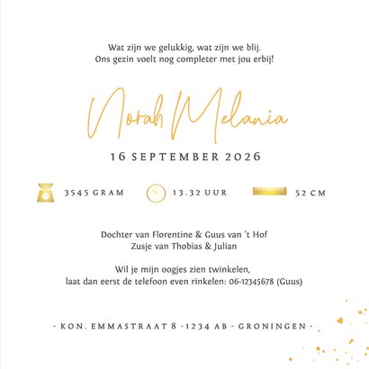 Geboortekaartje meisje silhouet wiegje en 2 grote broers 3