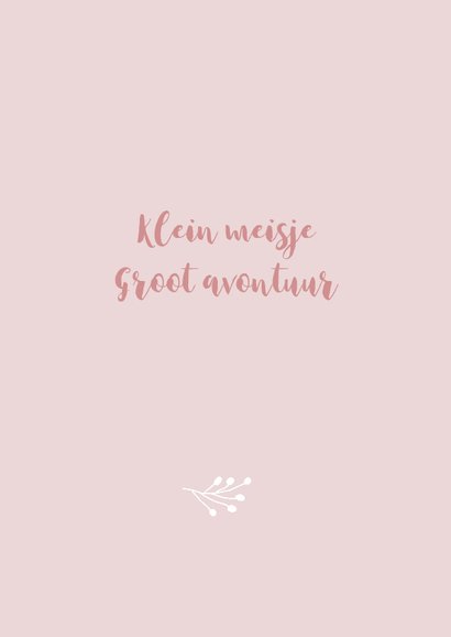 Geboortekaartje meisje takje 2