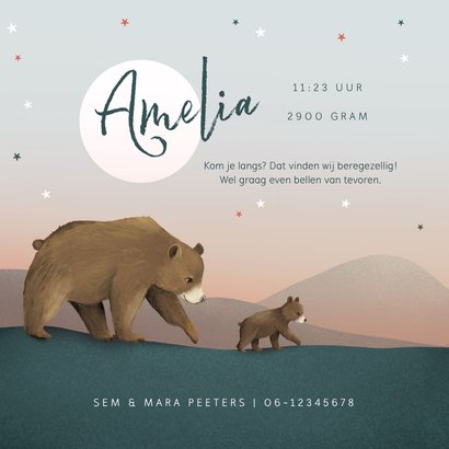 Geboortekaartje meisje tweeling dieren beren familie sterren 2
