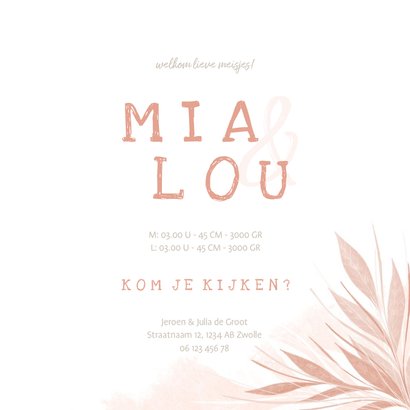 Geboortekaartje meisjes tweeling met olifantjes en vogels 3