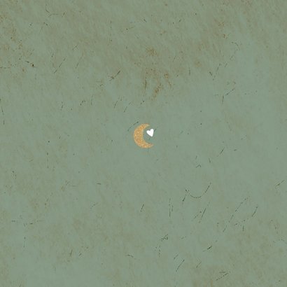 Geboortekaartje met beertje onder de maan Achterkant