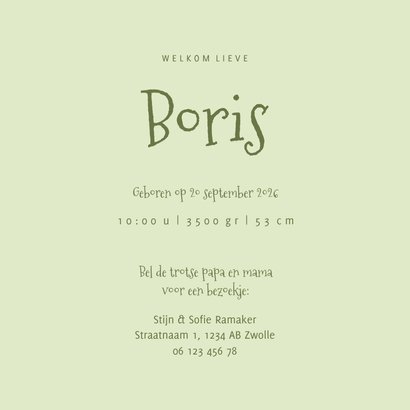 Geboortekaartje met bosdiertjes en muziekinstrumenten 3